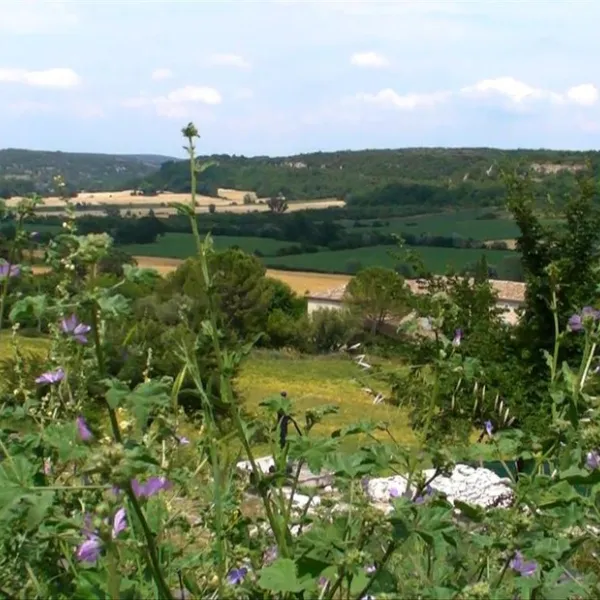 la-coquille-bagnols-sur-cegraveze-gard-fqqwg