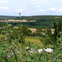 la-coquille-bagnols-sur-cegraveze-gard-fqqwg