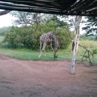 adama-artistic-chalets-teepees-on-the-de-wagensdrift-road-dinokeng-o6us9