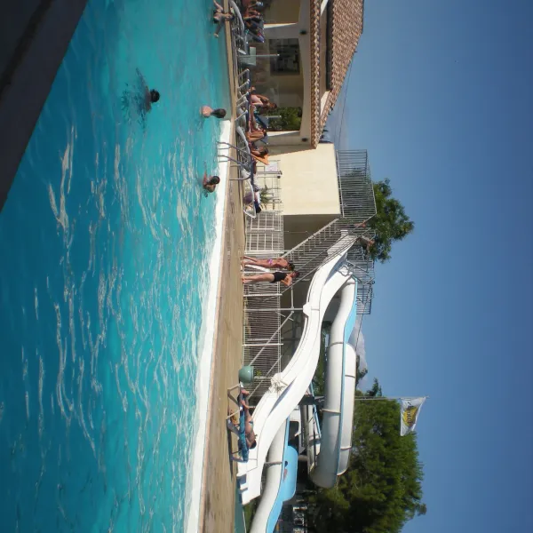 Le Bon Port