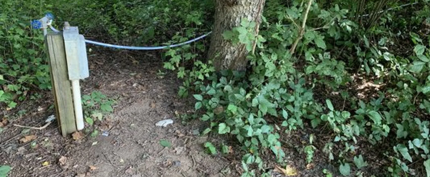 Tucquan Park Family Campground