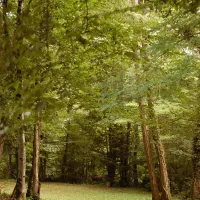 lo-gorissado-st-andre-dallas-dordogne-2hcnu