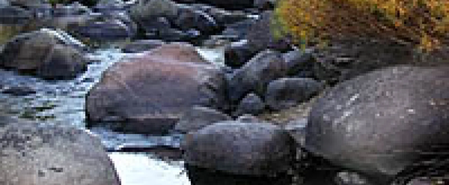 Hope Valley Resort