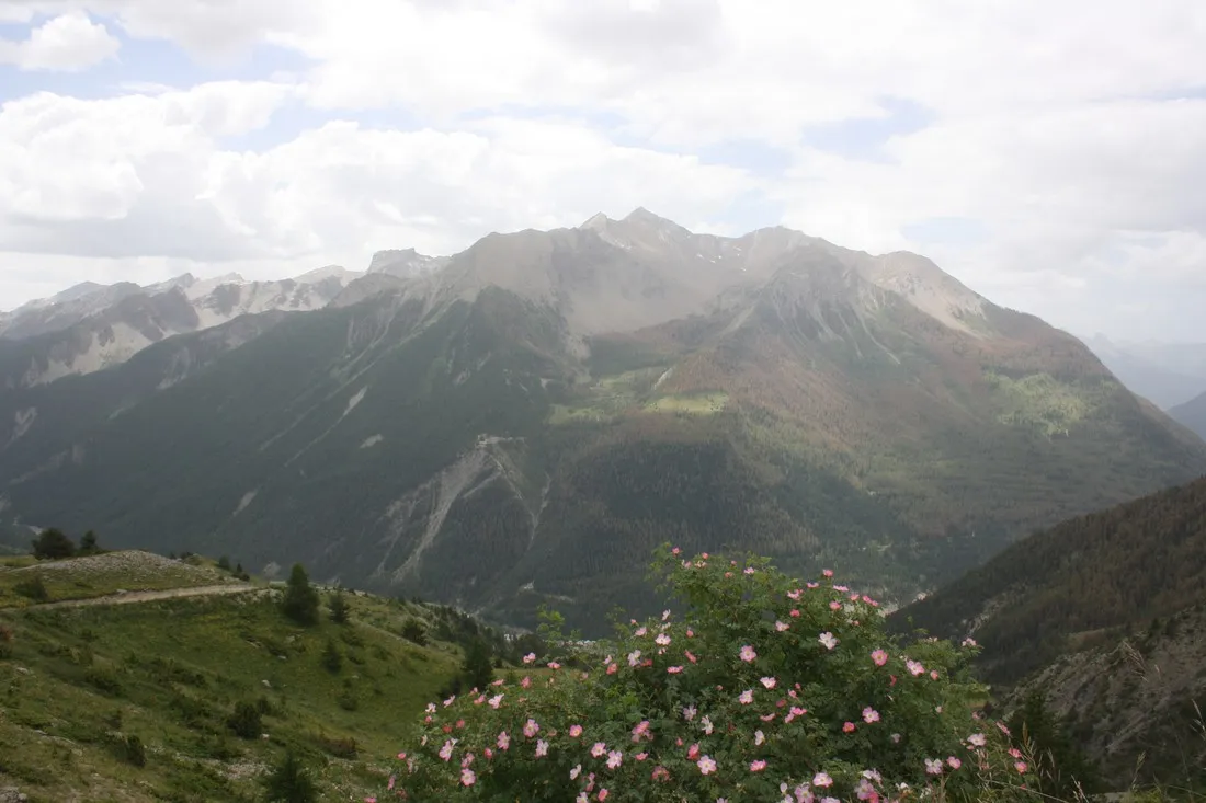 domaine-de-lubaye-barcelonnette-62uvc