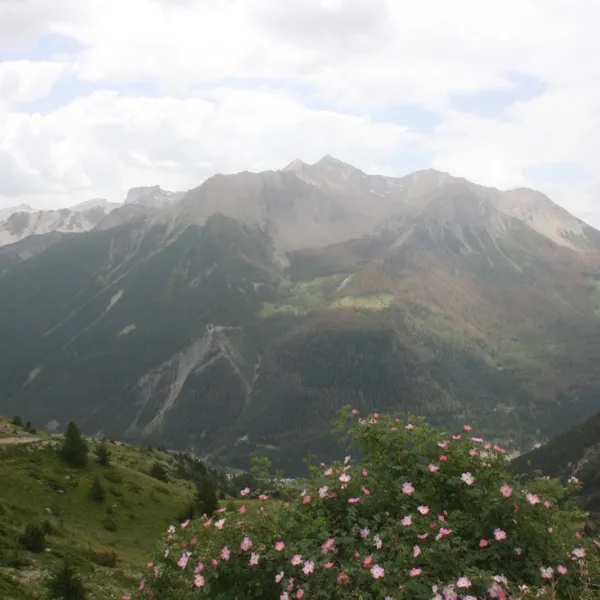 domaine-de-lubaye-barcelonnette-62uvc