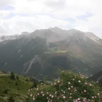 domaine-de-lubaye-barcelonnette-62uvc