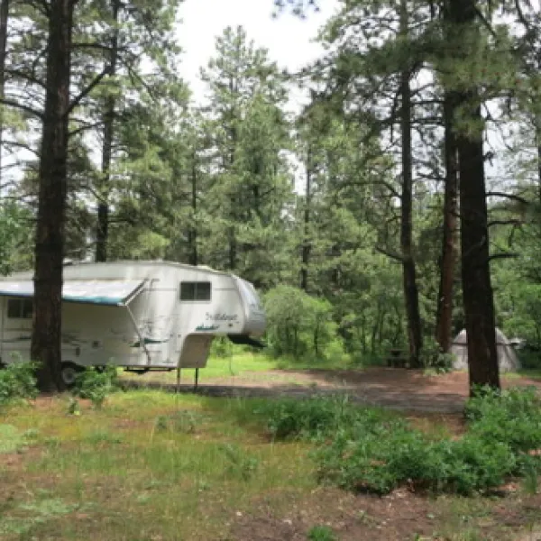 lower-hermosa-campground-durango-nectd