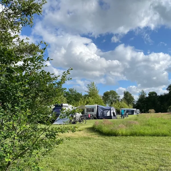 IMG_6575