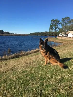 twin-lakes-resort-defuniak-springs-o7zjk