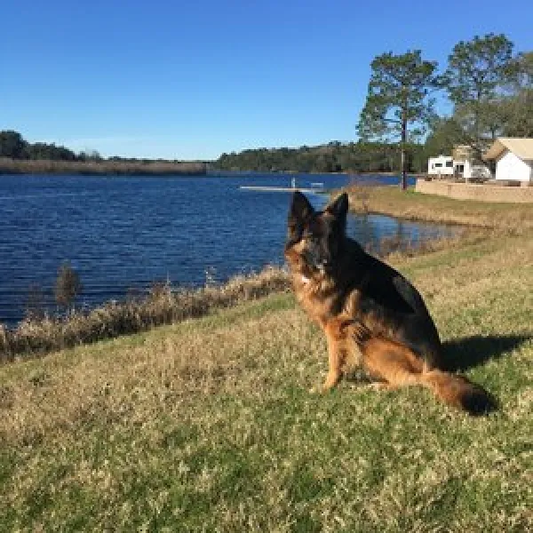 twin-lakes-resort-defuniak-springs-o7zjk