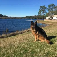twin-lakes-resort-defuniak-springs-o7zjk