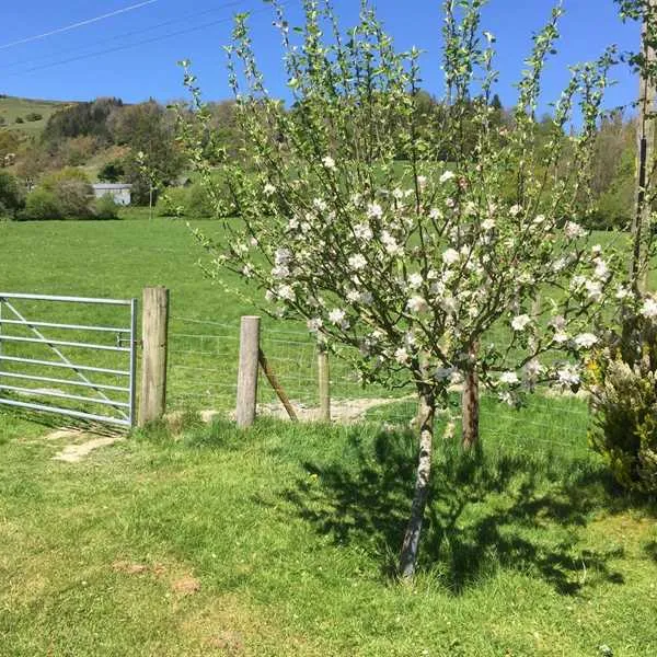 wern-ddu-farm-penybontfawr-jrgek