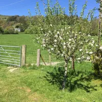 wern-ddu-farm-penybontfawr-jrgek