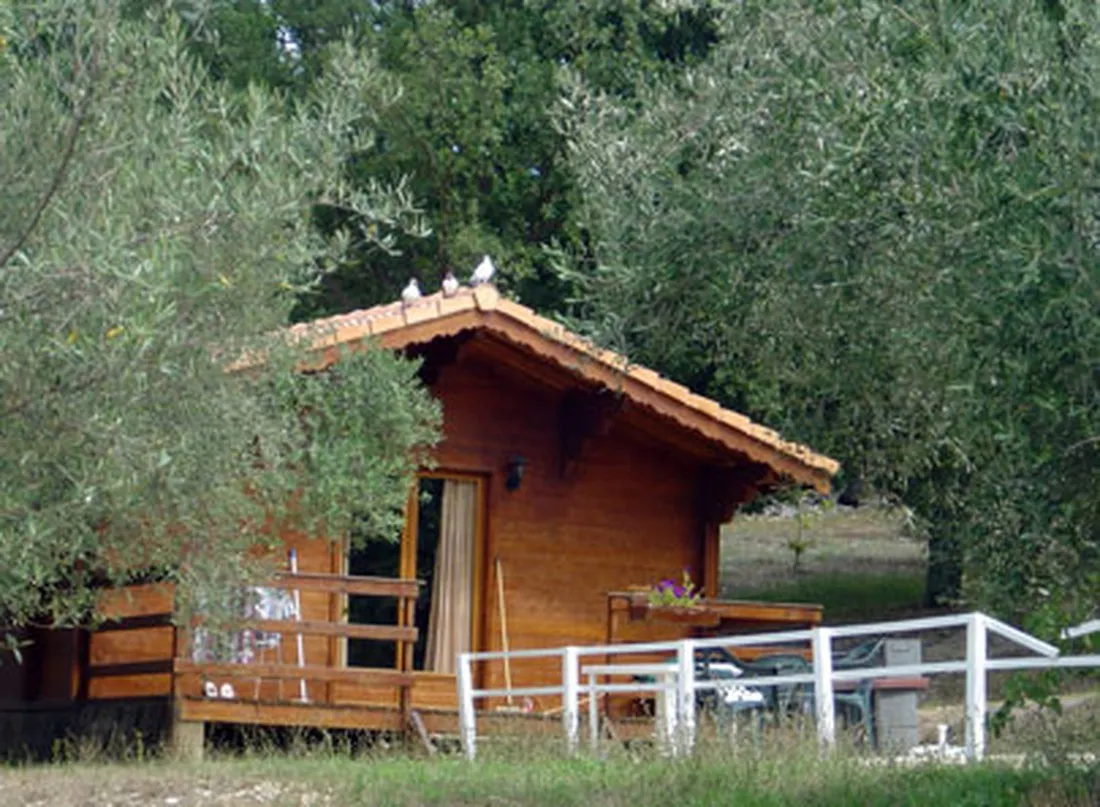 loliveraie-st-jean-de-maruejols-et-avejan-wkt0c