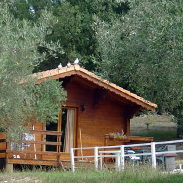 loliveraie-st-jean-de-maruejols-et-avejan-wkt0c