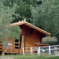 loliveraie-st-jean-de-maruejols-et-avejan-wkt0c