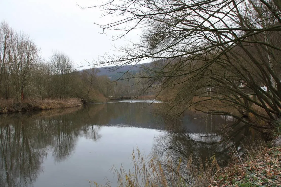 landgasthof-zella-frankenroda-hi6wy