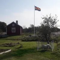 sommarogard-foglovagen-mk5oc