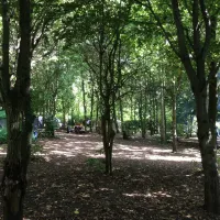 lorangerie-de-beauregard-villedomer-hcz53