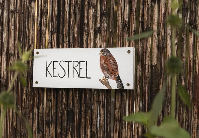 kestrel-yurt-camp-botrivier-qigkx