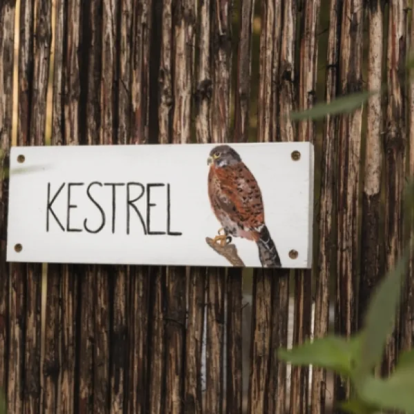 kestrel-yurt-camp-botrivier-qigkx
