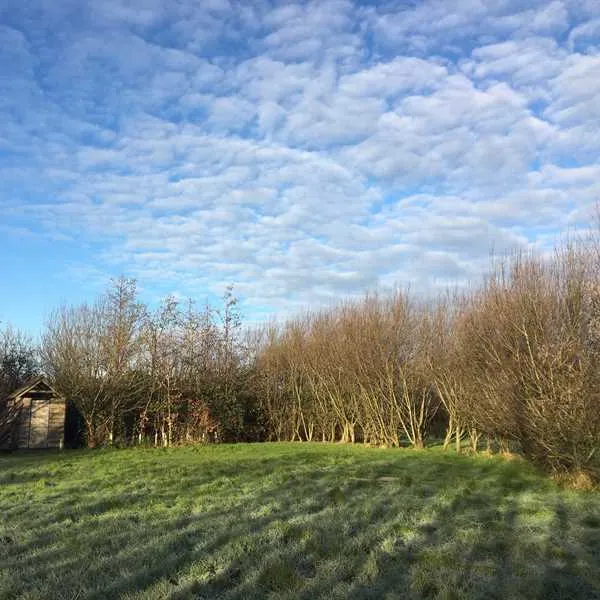 bakesdown-farm-camping-bude-hwsr4