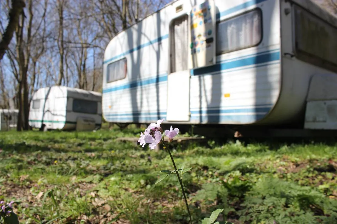 camping-silistar-rezovo-irmhy