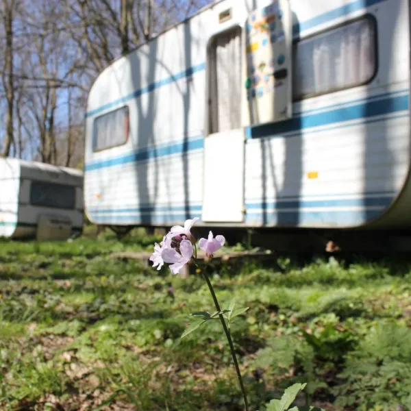 camping-silistar-rezovo-irmhy