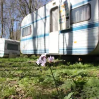 camping-silistar-rezovo-irmhy