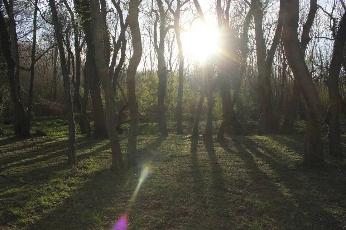 camping-silistar-rezovo-kwtp4