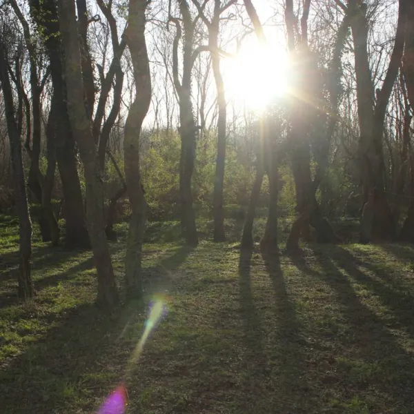 camping-silistar-rezovo-kwtp4
