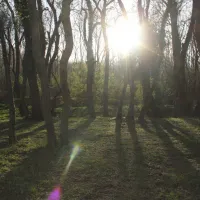 camping-silistar-rezovo-kwtp4