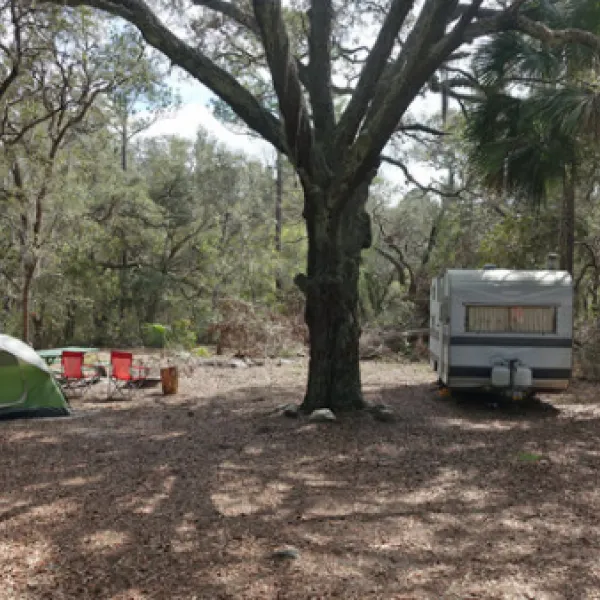 bennett-field-campground-daytona-beach-gz8ca