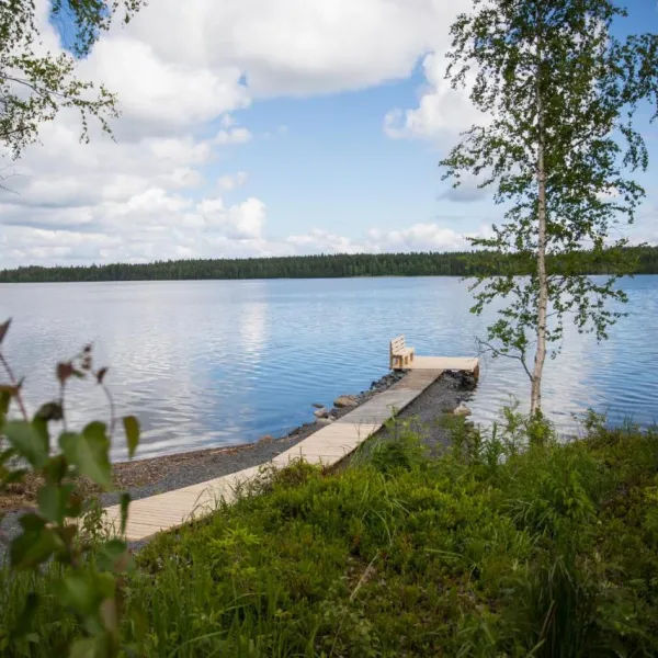 kuus-hukkala-harkala-8pnwc