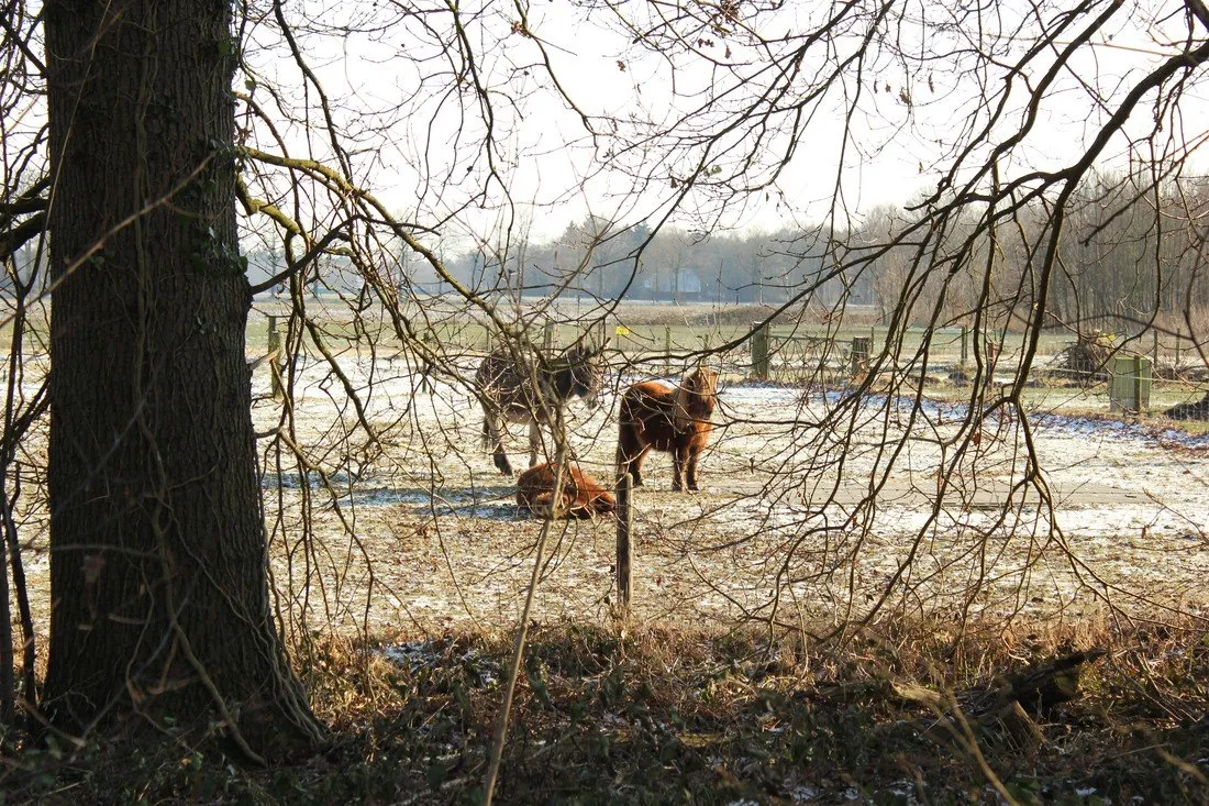 minicamping-t-fleerhof-barchem-bij-lochem-hkszs