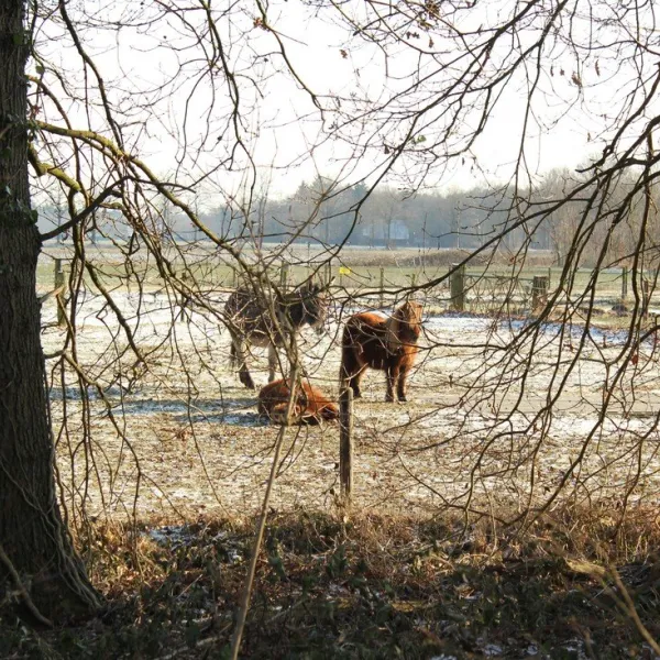 minicamping-t-fleerhof-barchem-bij-lochem-hkszs
