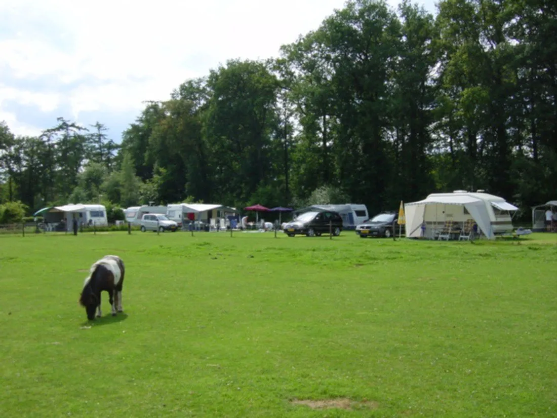 minicamping-t-fleerhof-barchem-bij-lochem-zixm7
