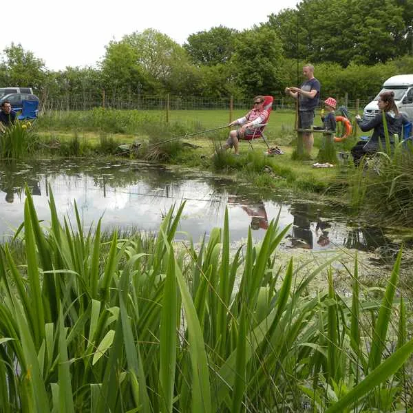 spring-farm-campsite-shipdham-gffbh
