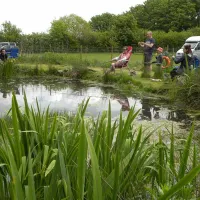 spring-farm-campsite-shipdham-gffbh