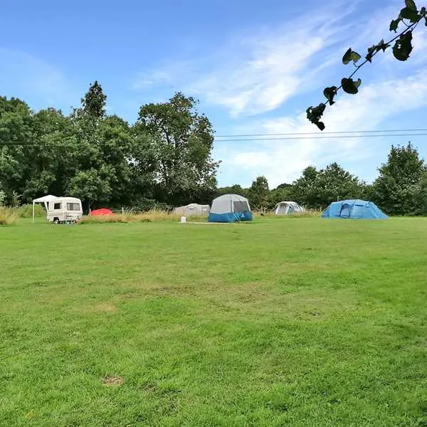 Spring Farm Campsite