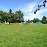 spring-farm-campsite-shipdham-gqyzu