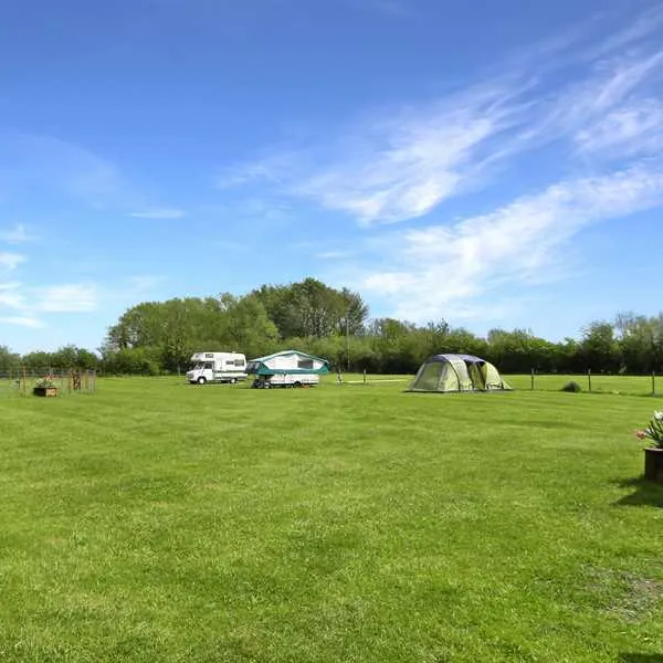Spring Farm Campsite
