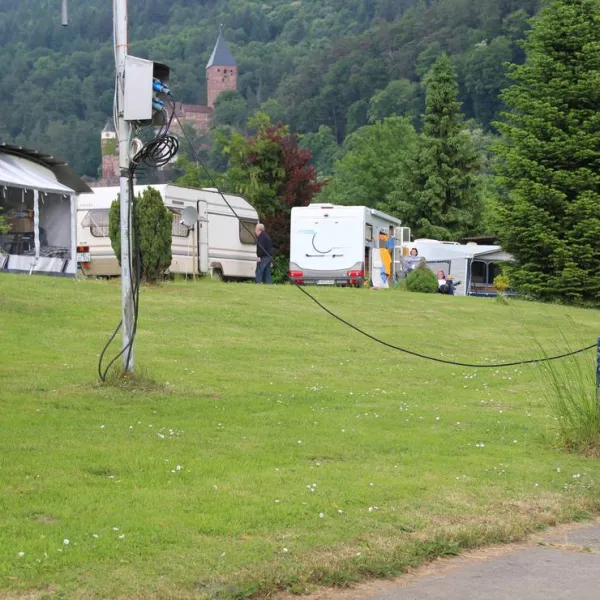 mycn-zwingenberg-zwingenberg-am-neckar-e5rlb