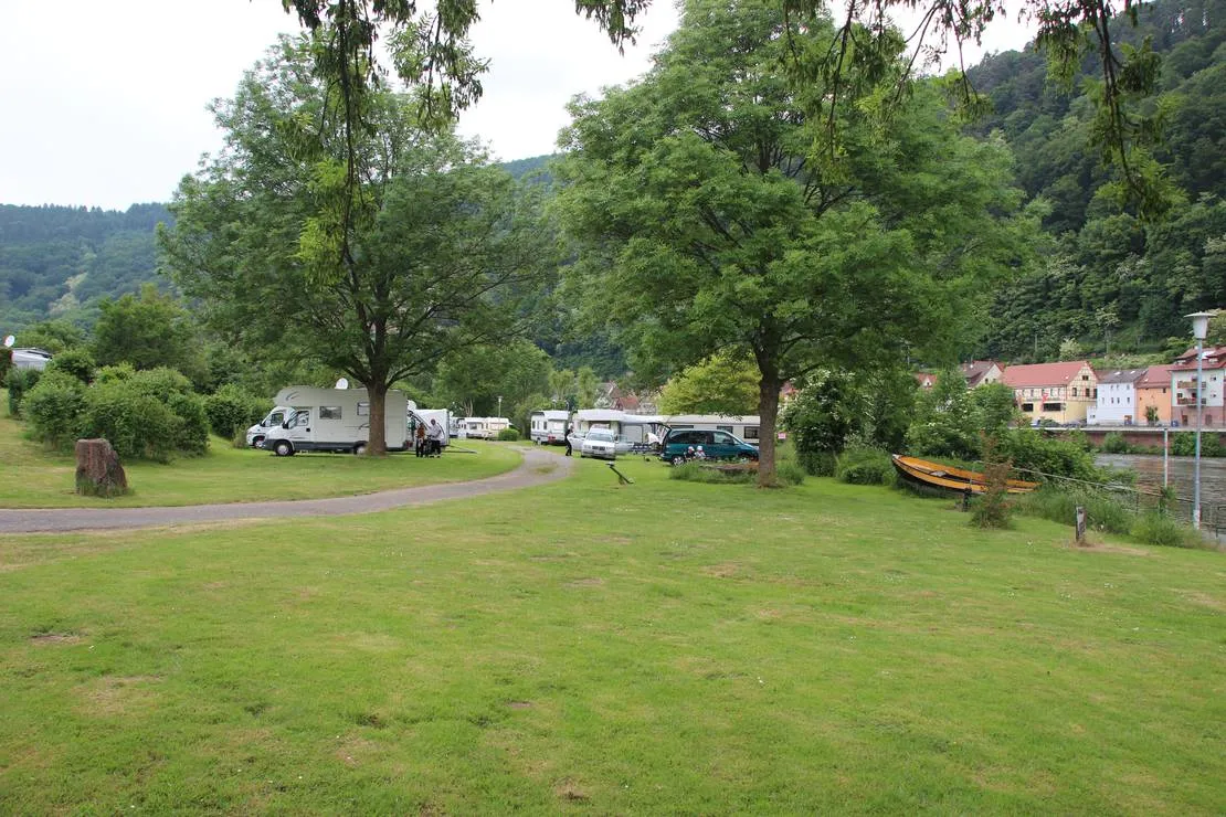 mycn-zwingenberg-zwingenberg-am-neckar-sw69j