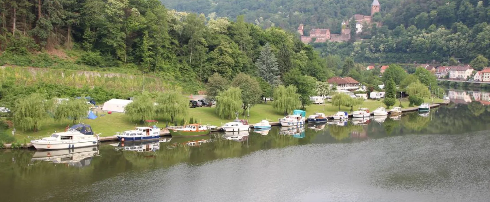 MYCN Zwingenberg