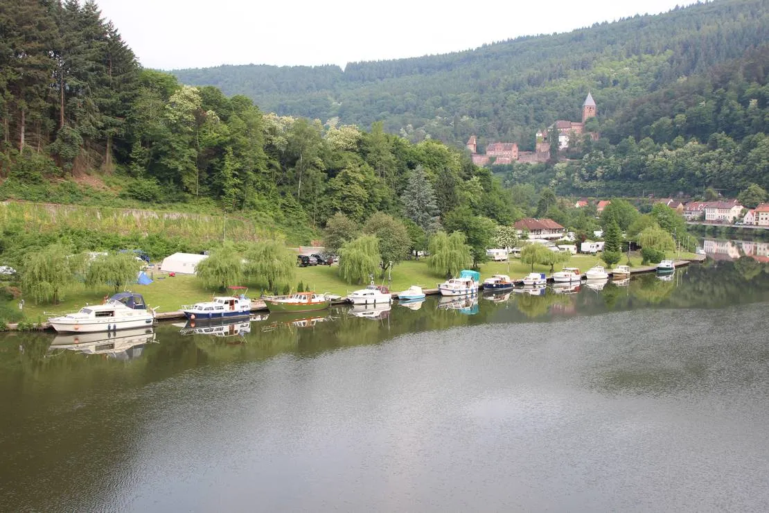 mycn-zwingenberg-zwingenberg-am-neckar-t5uy8