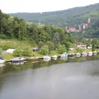 MYCN Zwingenberg