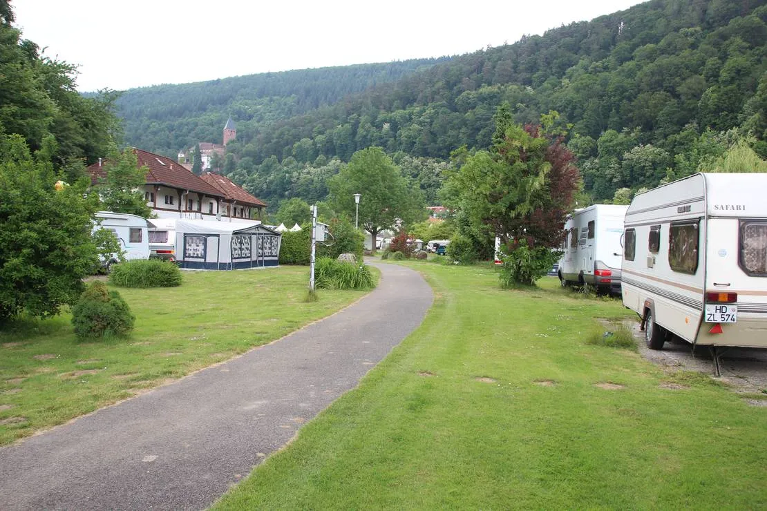 mycn-zwingenberg-zwingenberg-am-neckar-vzelh