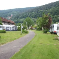 mycn-zwingenberg-zwingenberg-am-neckar-vzelh