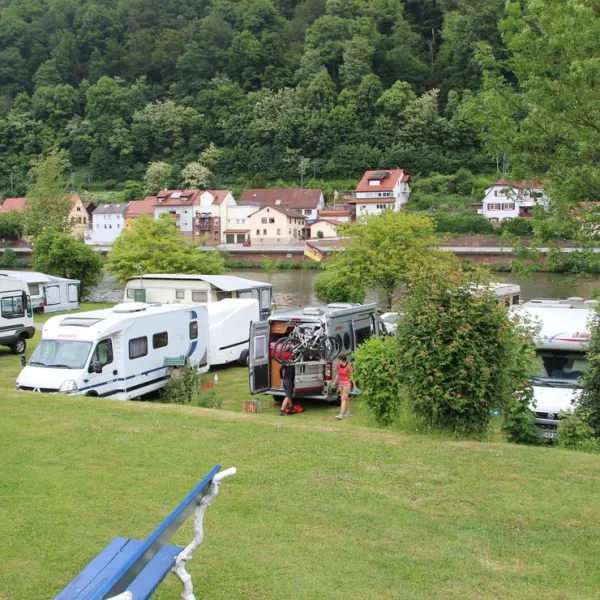 mycn-zwingenberg-zwingenberg-am-neckar-xi6gj